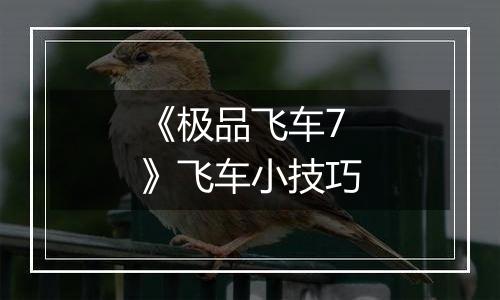 《极品飞车7》飞车小技巧