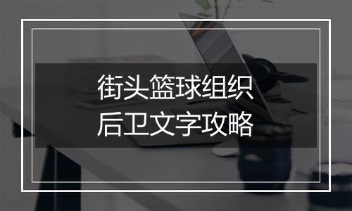 街头篮球组织后卫文字攻略