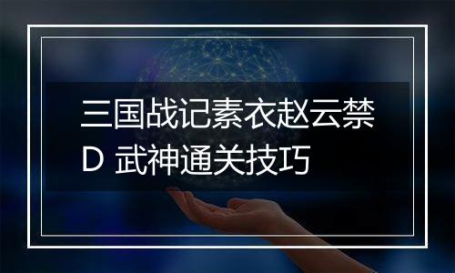 三国战记素衣赵云禁D 武神通关技巧