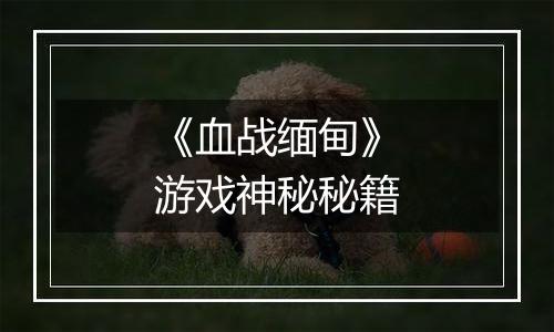 《血战缅甸》游戏神秘秘籍