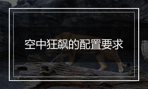 空中狂飙的配置要求