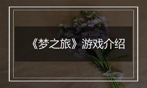 《梦之旅》游戏介绍