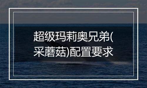 超级玛莉奥兄弟(采蘑菇)配置要求