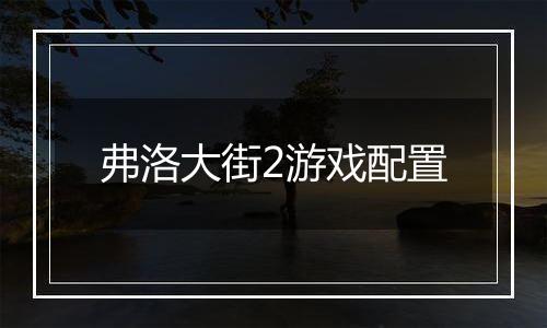 弗洛大街2游戏配置