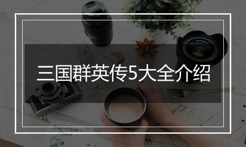 三国群英传5大全介绍