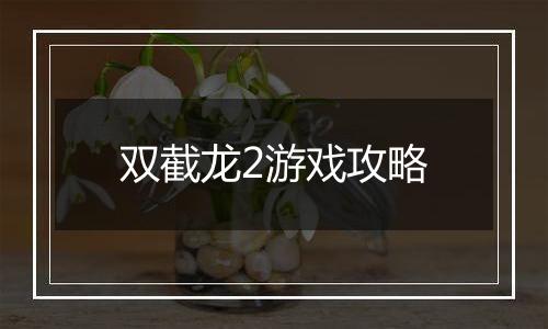 双截龙2游戏攻略