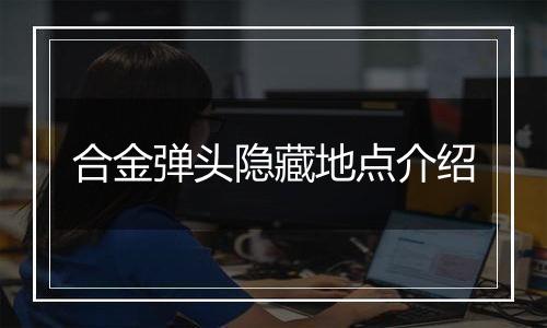 合金弹头隐藏地点介绍