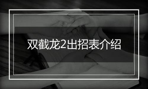 双截龙2出招表介绍