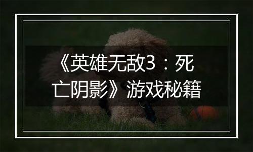 《英雄无敌3：死亡阴影》游戏秘籍