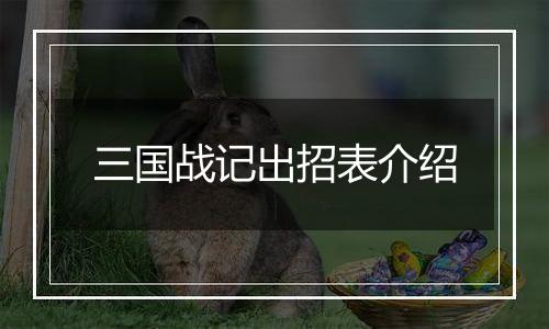 三国战记出招表介绍