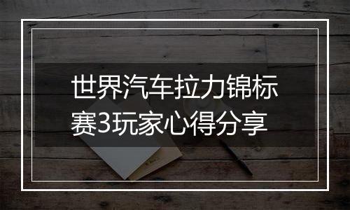 世界汽车拉力锦标赛3玩家心得分享