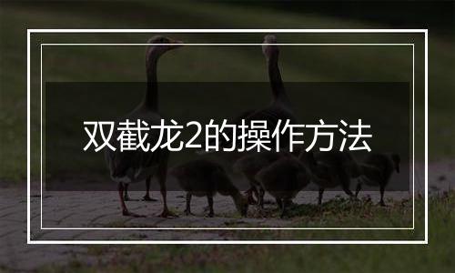 双截龙2的操作方法