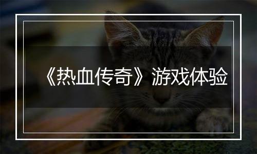《热血传奇》游戏体验