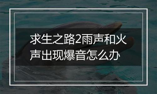 求生之路2雨声和火声出现爆音怎么办