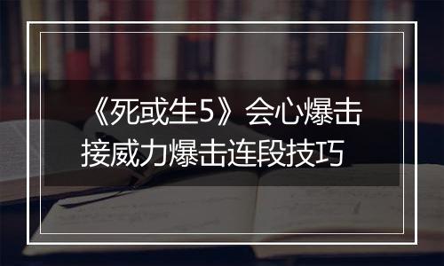 《死或生5》会心爆击接威力爆击连段技巧