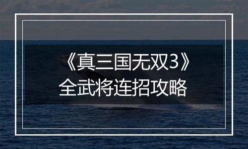 《真三国无双3》全武将连招攻略