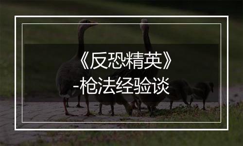 《反恐精英》-枪法经验谈