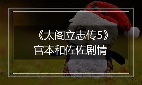 《太阁立志传5》宫本和佐佐剧情