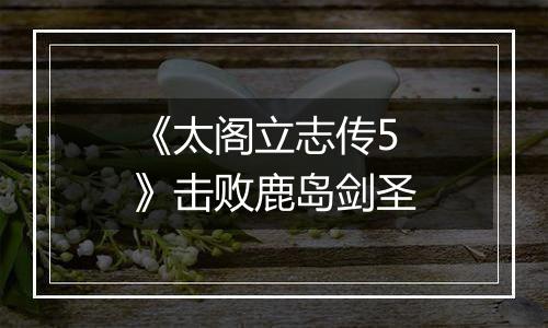 《太阁立志传5》击败鹿岛剑圣