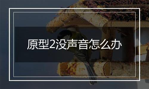 原型2没声音怎么办