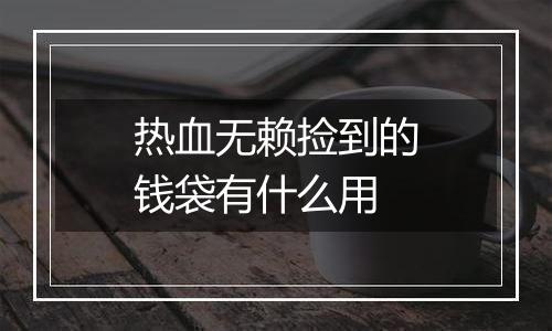 热血无赖捡到的钱袋有什么用