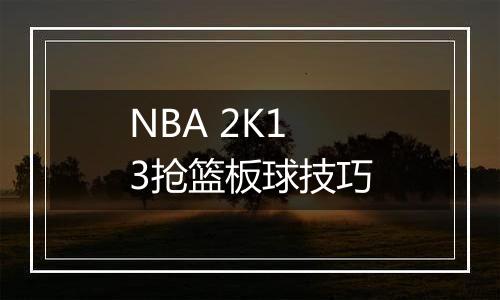 NBA 2K13抢篮板球技巧