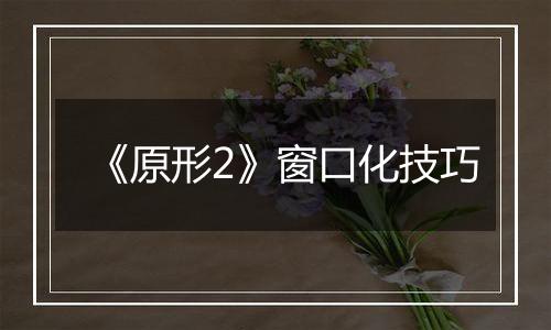 《原形2》窗口化技巧