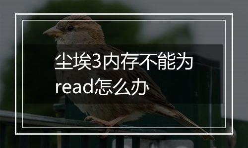 尘埃3内存不能为read怎么办
