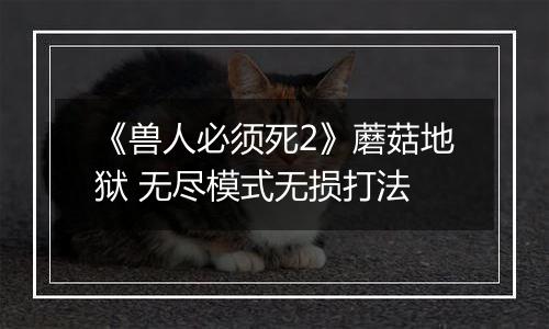 《兽人必须死2》蘑菇地狱 无尽模式无损打法