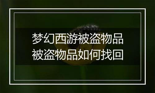 梦幻西游被盗物品被盗物品如何找回