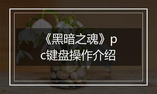 《黑暗之魂》pc键盘操作介绍