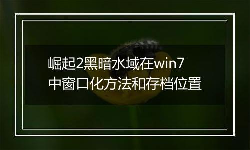 崛起2黑暗水域在win7中窗口化方法和存档位置