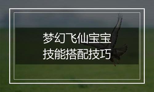 梦幻飞仙宝宝技能搭配技巧