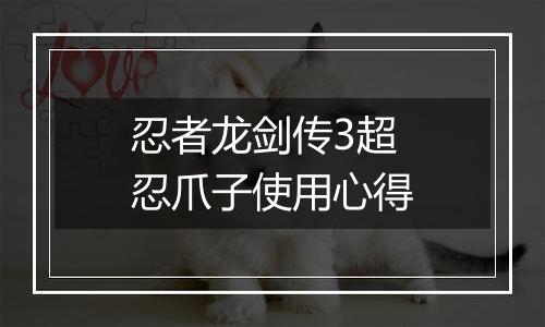 忍者龙剑传3超忍爪子使用心得