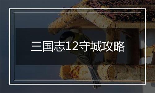 三国志12守城攻略