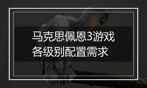 马克思佩恩3游戏各级别配置需求