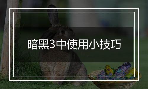 暗黑3中使用小技巧