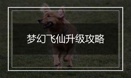 梦幻飞仙升级攻略