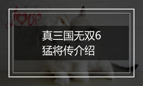 真三国无双6猛将传介绍