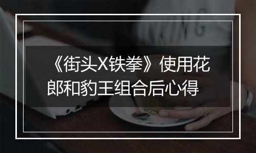 《街头X铁拳》使用花郎和豹王组合后心得