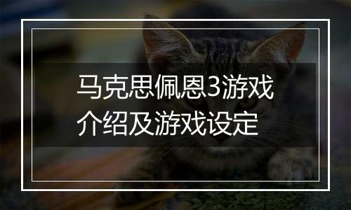 马克思佩恩3游戏介绍及游戏设定