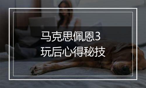 马克思佩恩3玩后心得秘技