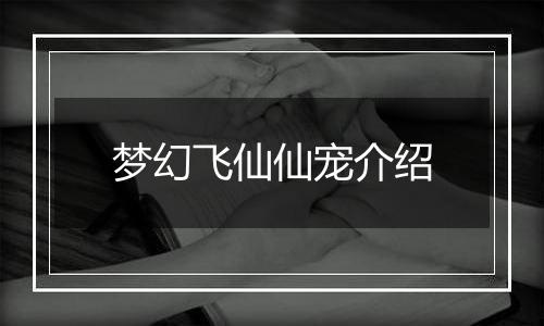 梦幻飞仙仙宠介绍