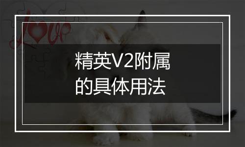 精英V2附属的具体用法