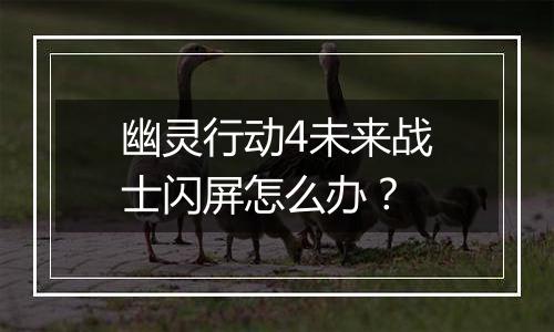 幽灵行动4未来战士闪屏怎么办？