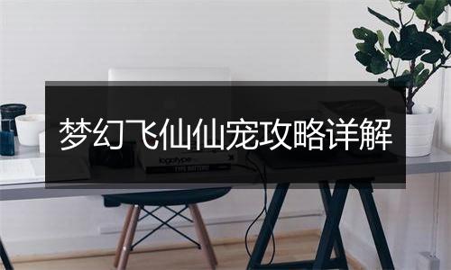 梦幻飞仙仙宠攻略详解