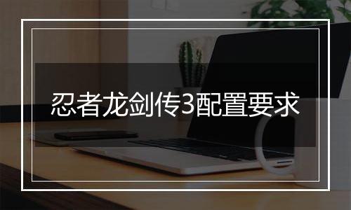 忍者龙剑传3配置要求