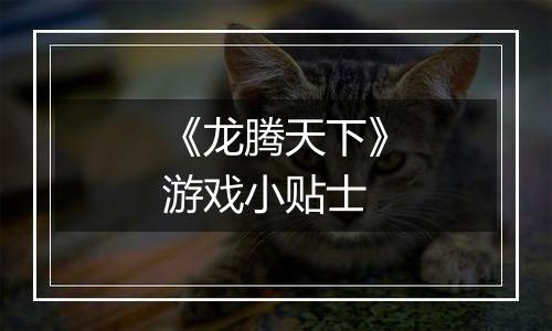 《龙腾天下》游戏小贴士