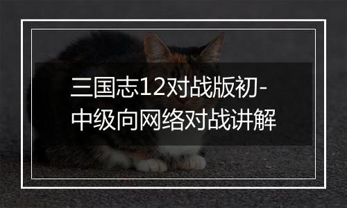 三国志12对战版初-中级向网络对战讲解