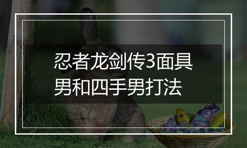 忍者龙剑传3面具男和四手男打法